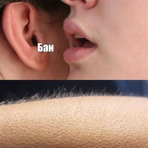 Мем: "Бан" - Все шаблоны - Meme-arsenal.com
