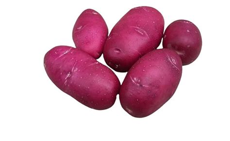 lily rose leaked onlyfans click below