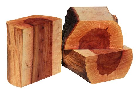 wood  species cook woods