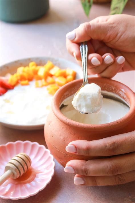 indian dahi homemade indian yogurt video  whisk addict easy