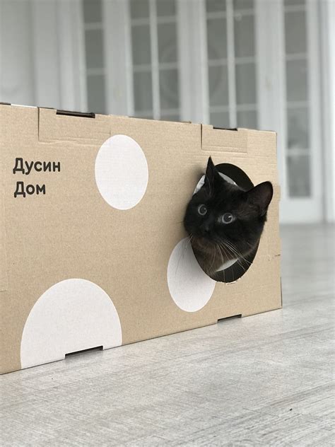 Домик для кота из коробок (82 фото) » НА ДАЧЕ ФОТО