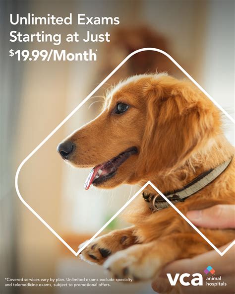 VCA Westlake Village Animal Hospital | Westlake Village CA