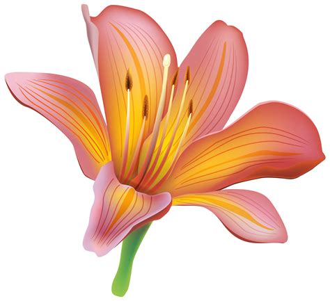 lilies clip art 8