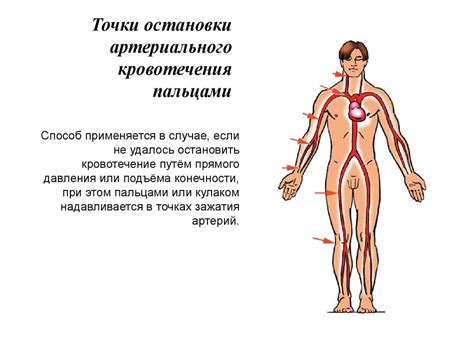 Первая медицинская помощь при ранениях - презентация онлайн