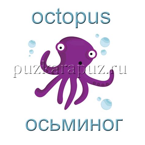 Тема урока: «Обитатели морских глубин». Рыбы на английском языке с ...