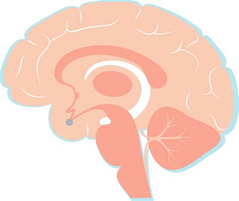 Parkinsons Visualizer Animation