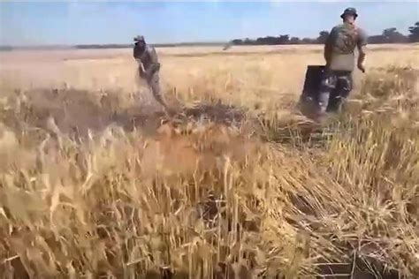 Окупанти обстрілюють українські поля запальними снарядами (відео) - Главком