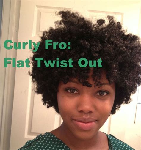 Curly Fro: Flat Twist out on Natural Hair | Natural hair twist out ...