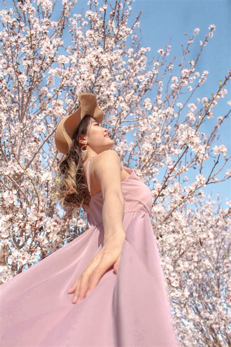 california almond tree 5