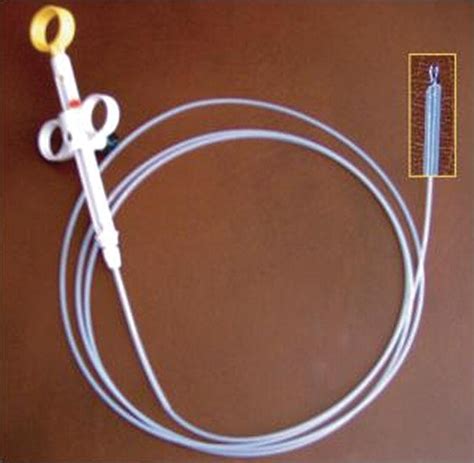 polypectomy abdominal key