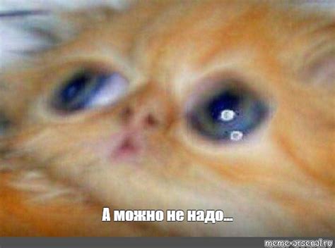 Мем: "А можно не надо..." - Все шаблоны - Meme-arsenal.com