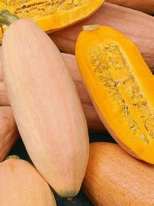 Тыква Вкусная в печи (Buen Gusto de Horno Squash)