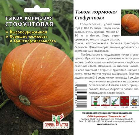 Тыква Стофунтовая: отзывы, описание, фото, уход, характеристика сорта ...
