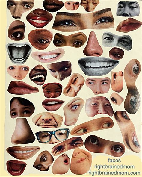 Printable Face Features - Printable Word Searches