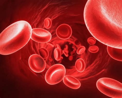 Koagülasyon nedir? – Ekomed Diagnostic