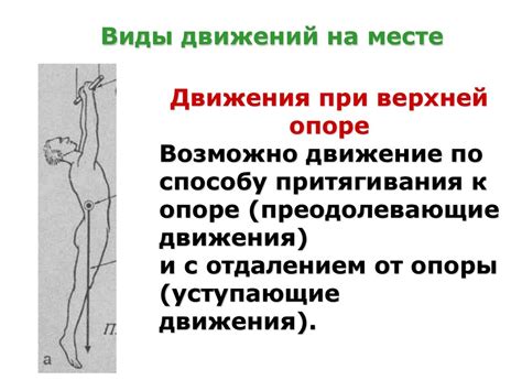 Виды движений в биомеханике. Лекция 5 - презентация онлайн