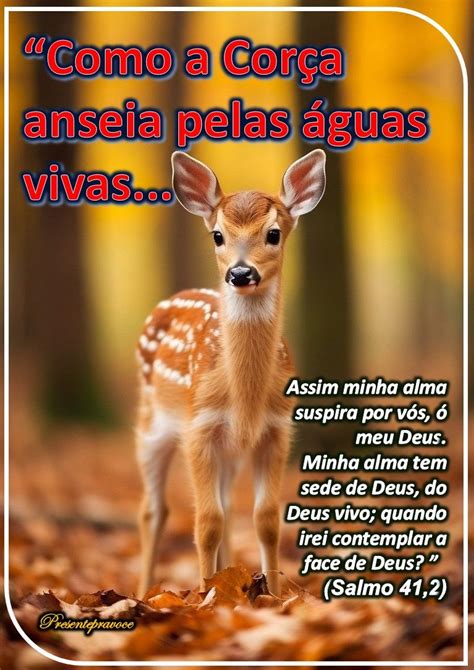 Como A Corça Anseia Por Agua - Como a Corça anseia pelas águas vivas… | Enchei-vos do Espírito Santo ...