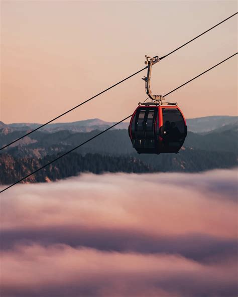 Mt. Rainier Gondola - Visitors Guide (2023) - Alpine Coasters