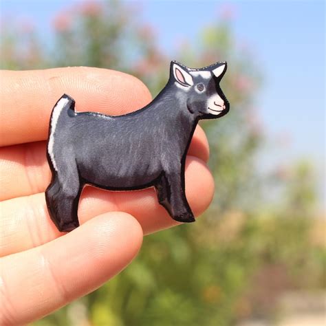 Pygmy Goat - Etsy