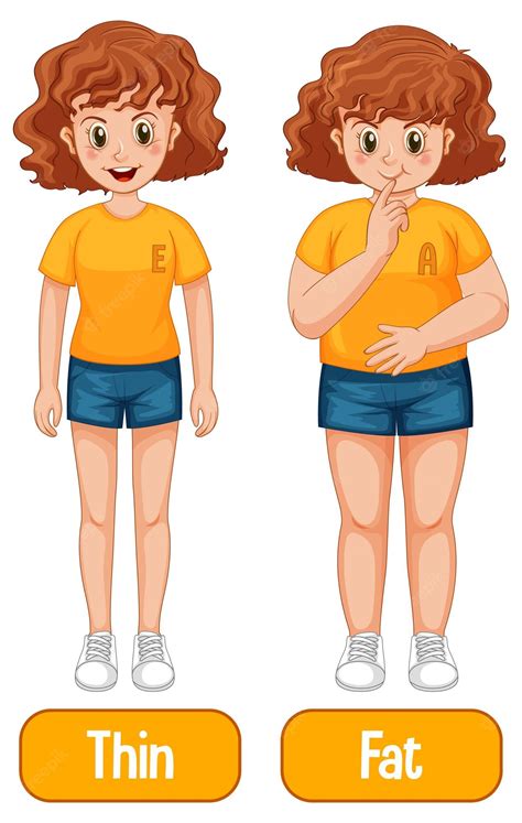 fat  slim cartoon men stock illustration  image