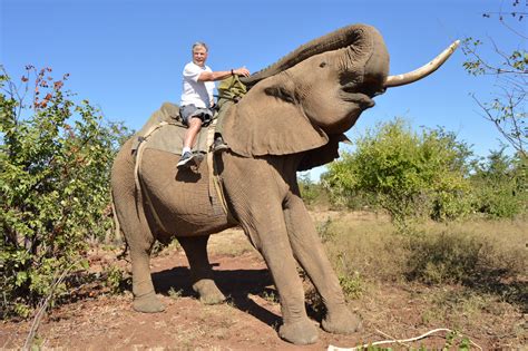 photo safaris sunguti safaris