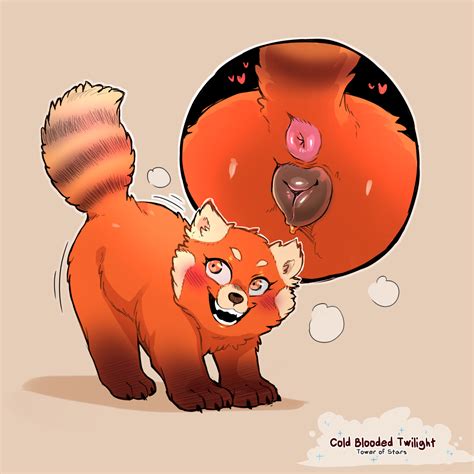 rule     ailurid animal pussy anus ass blush cold