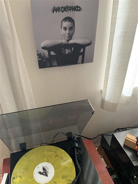 Ani Difranco -Ani Difranco : r/surface_noise