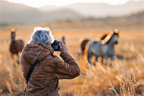 wildlife photographer   uk studyhub