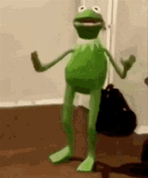 Funny Kermit Gifs : muppets kermit gif | Tumblr