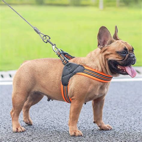 Tether For Dogs Up To 80 Kg, 3 Meters (white), Pet Lead For Small ...