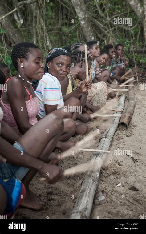 Pygmies, people of Baaka, or Baka, or Ba'aka, Music Performance and ...