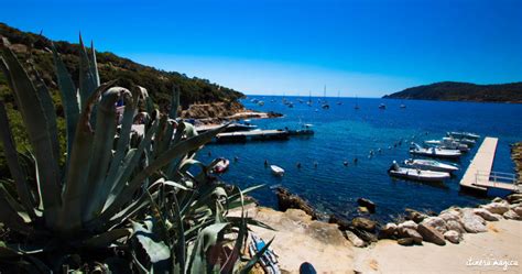 L'île du Levant, la Méditerranée à nu - Itinera-magica.com