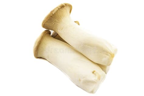 Eringi stock image. Image of food, brown, thick, stem - 44862169