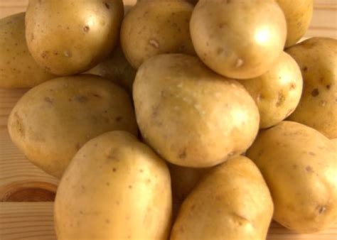 Картофель Ривьера: описание и характеристика сорта, вкусовые качества ...