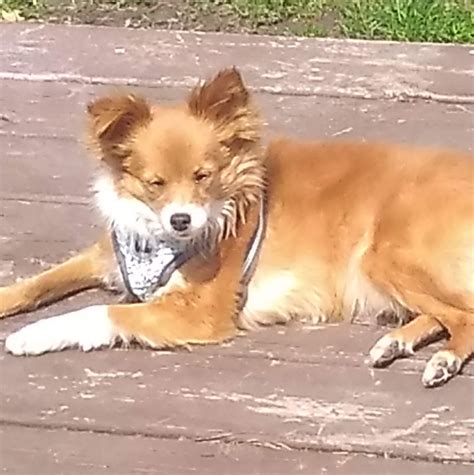 Obituary: Remembering the Life of Donald Wesley Klueg 11