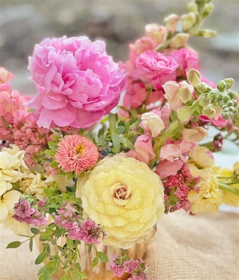 symbolism  flowers category archives  blossoms
