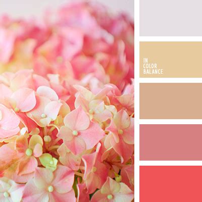 нежные оттенки розы | IN COLOR BALANCE