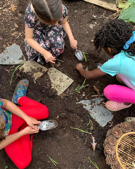 Acorn Hill - Capacity Partners