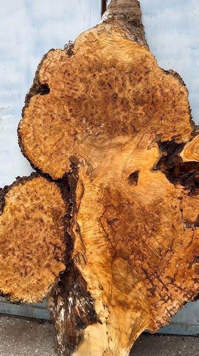 Кап тополь #wood #woodworking #diy - YouTube