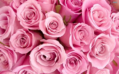 15 Outstanding pretty pink desktop wallpaper You Can Get It At No Cost