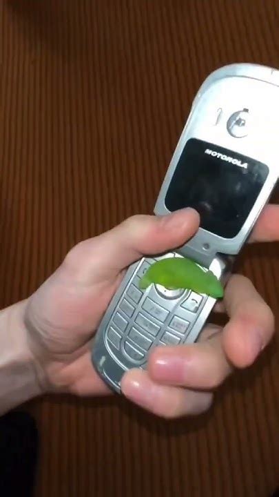 Моторола офигенный телефон,аААААААаАаАаА крыса ты что тут забыла ...