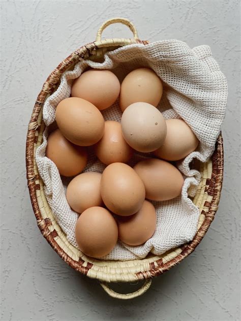 Pasture Raised Eggs - Credo Farms