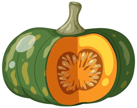 pumpkins clipart set  squash vegetable png clipart