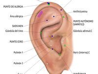 O'que É Auriculoterapia