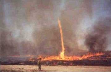 15 More Images You Won't Believe Aren't Photoshopped | Cracked.com