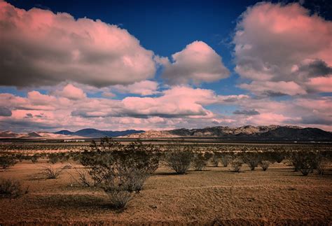 Mojave Desert — JILLIAN NATASHA