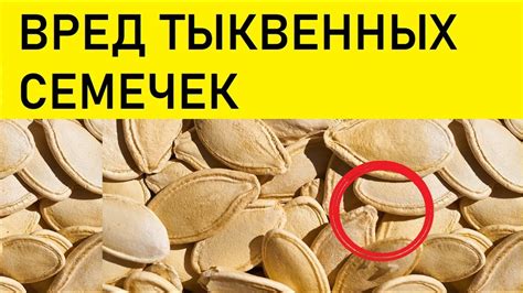 ВРЕД ТЫКВЕННЫХ СЕМЕЧЕК - YouTube
