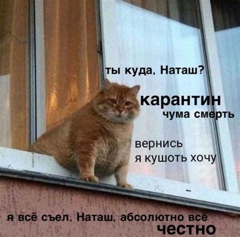 «Наташ, вставай, мы всё уронили»: откуда взялись мемы про Наташу и ...