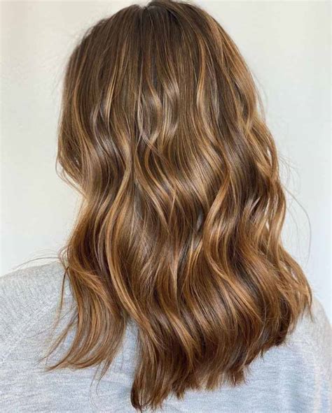 brown hair   glamorous howlifestyles