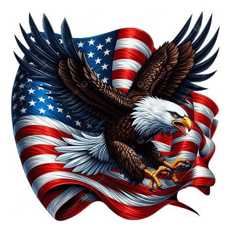 American Bald Eagle With Us Flag Isolated On Black Background, American